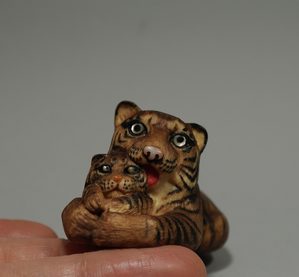 Tigress with a cub 013